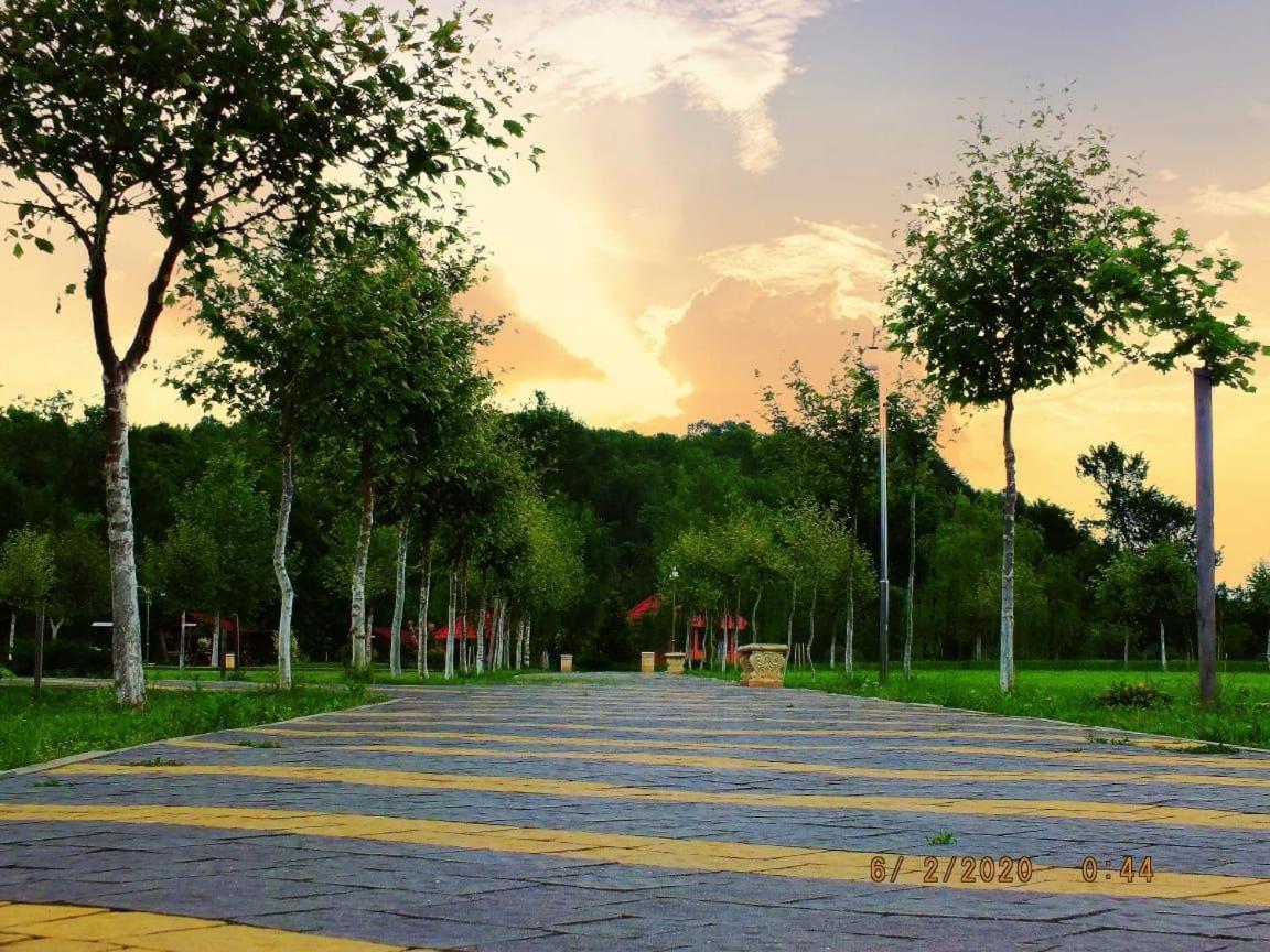 Illara Spa Hotel Irshava ภายนอก รูปภาพ