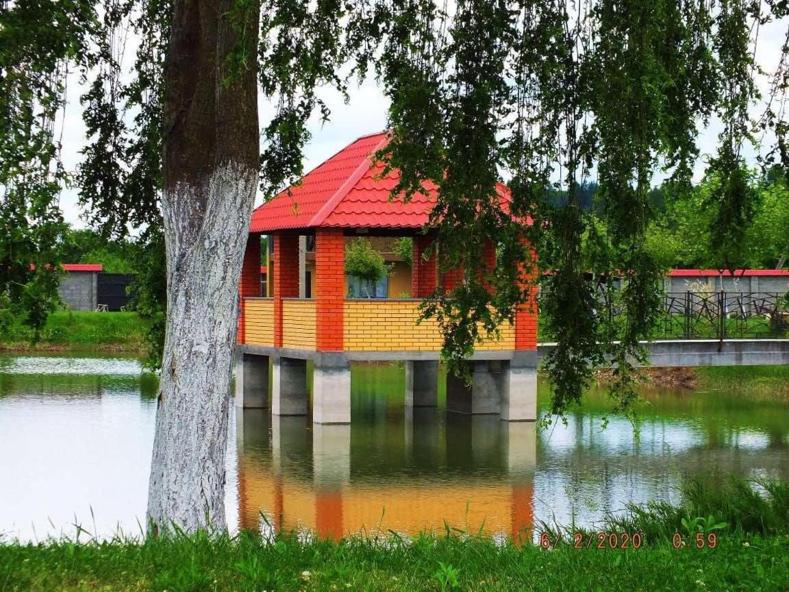 Illara Spa Hotel Irshava ภายนอก รูปภาพ