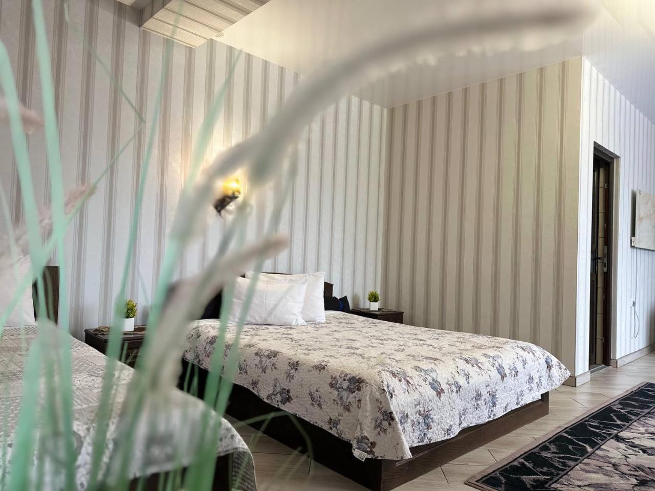 Illara Spa Hotel Irshava ภายนอก รูปภาพ