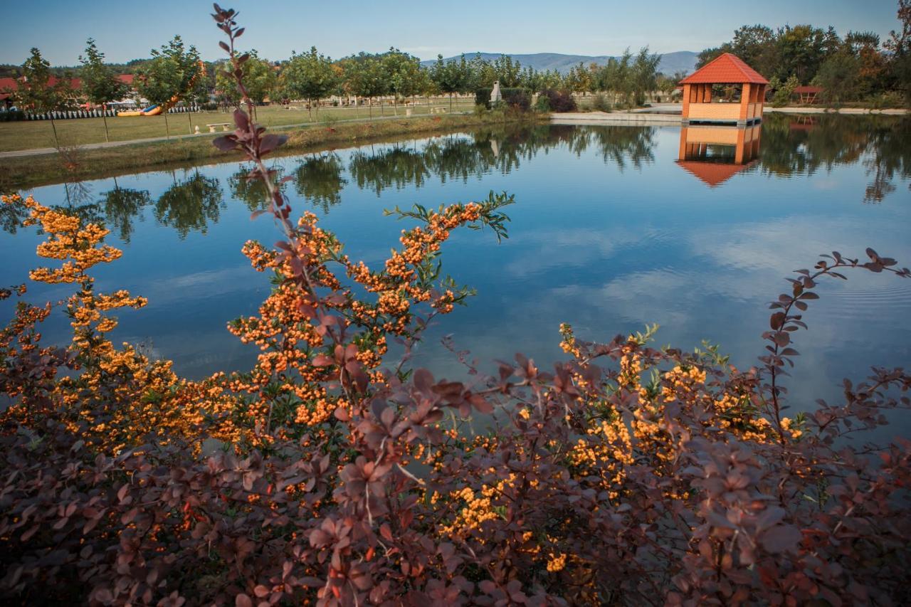 Illara Spa Hotel Irshava ภายนอก รูปภาพ