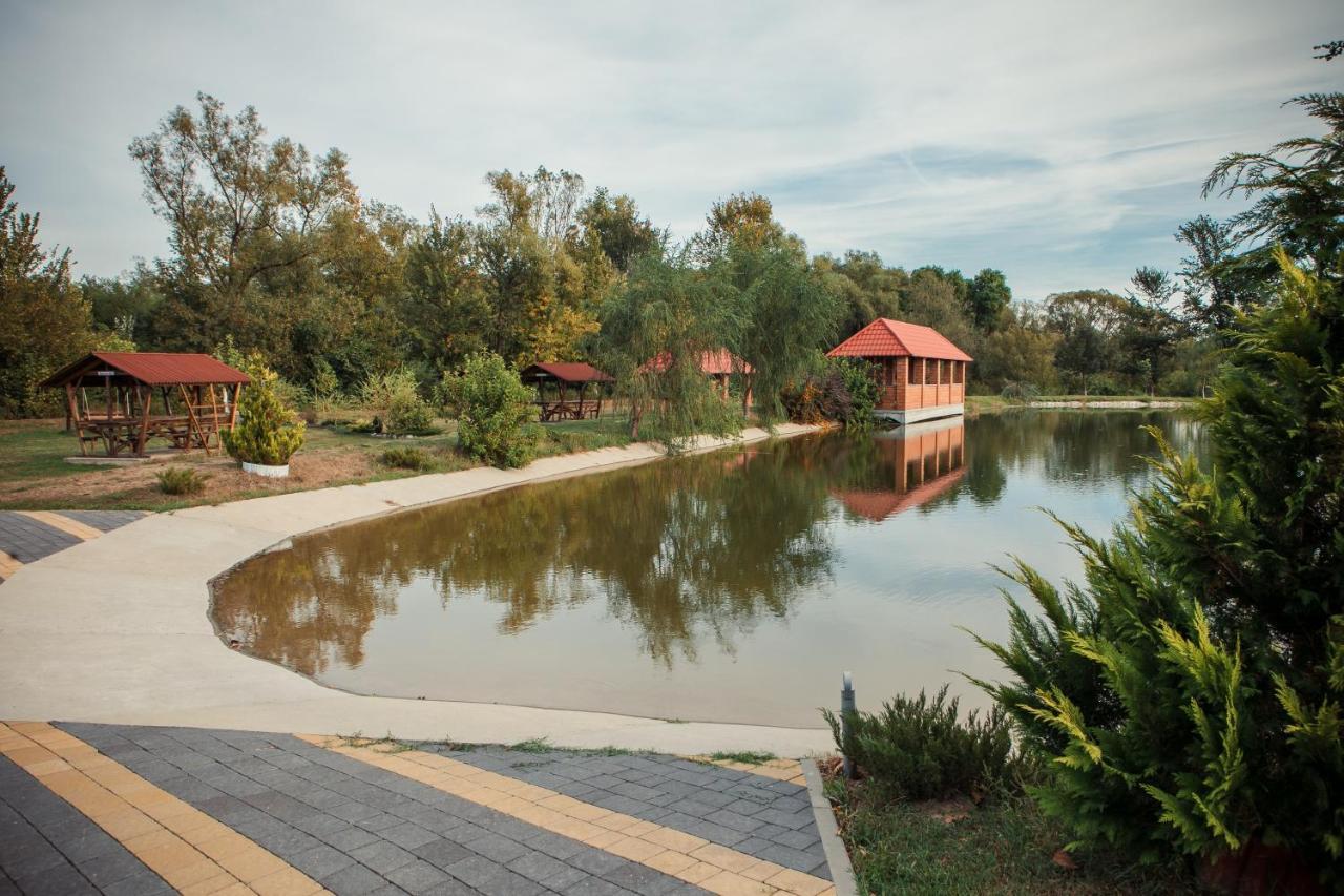 Illara Spa Hotel Irshava ภายนอก รูปภาพ
