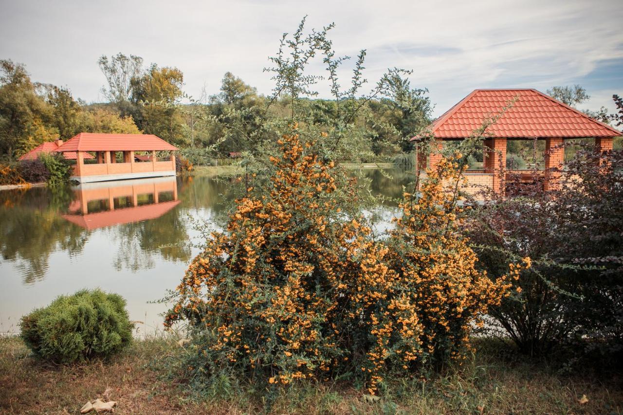 Illara Spa Hotel Irshava ภายนอก รูปภาพ
